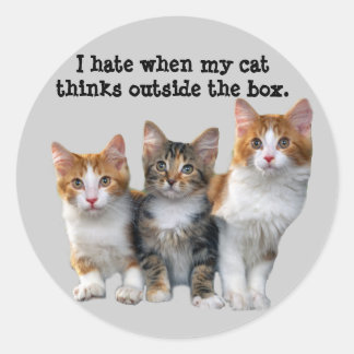 Cat Outside The Box Sticker
