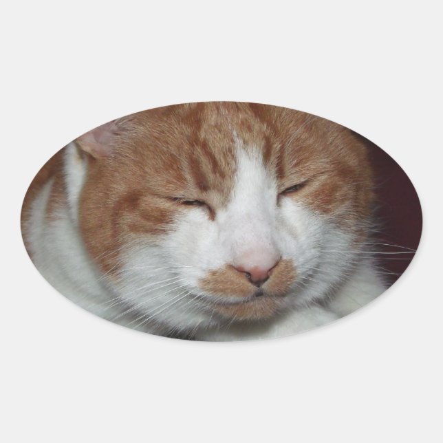 cat oval sticker (Front)