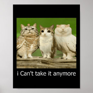 Cat Owl Funny Meow I Cant Take It Anymore Poster