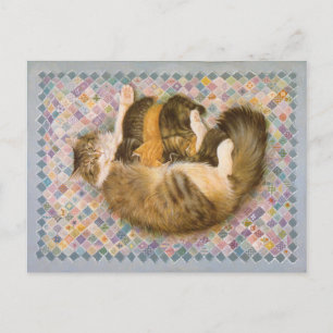 CAT PAINTING POSTCARD