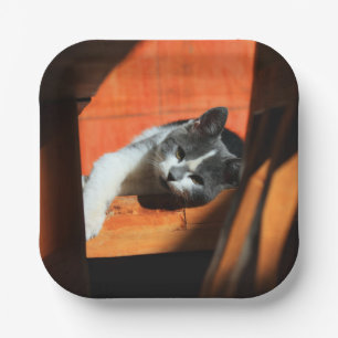 Cat Paper Plate