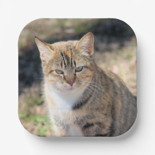 Cat Paper Plate