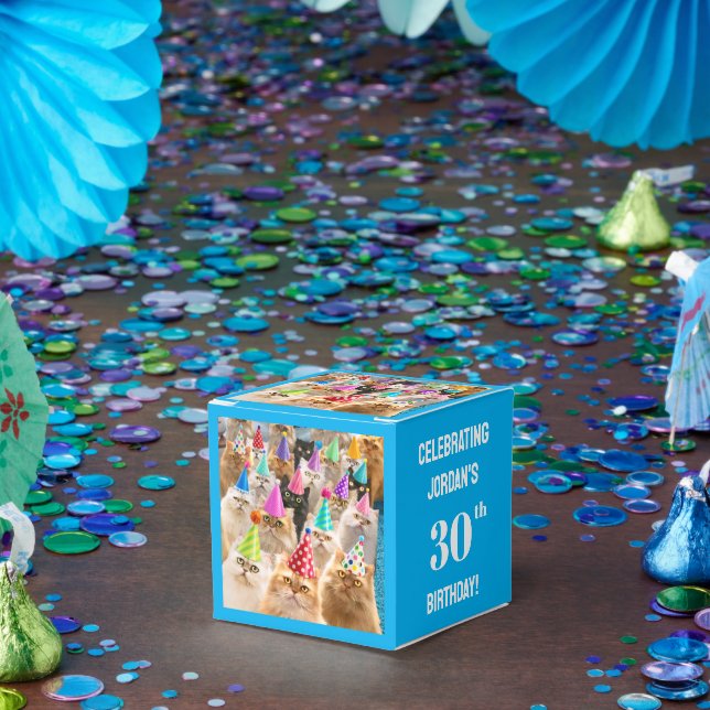 Cat Party Favour Box (Party)