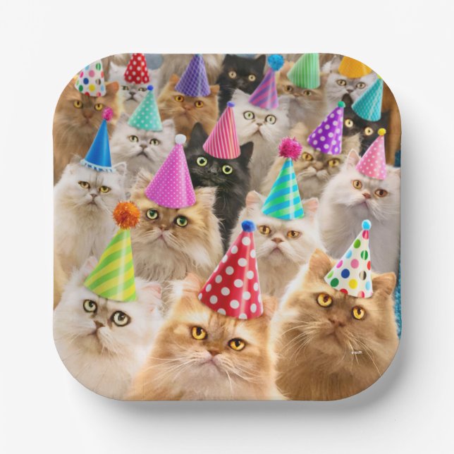 Cat Party Paper Plate (Front)