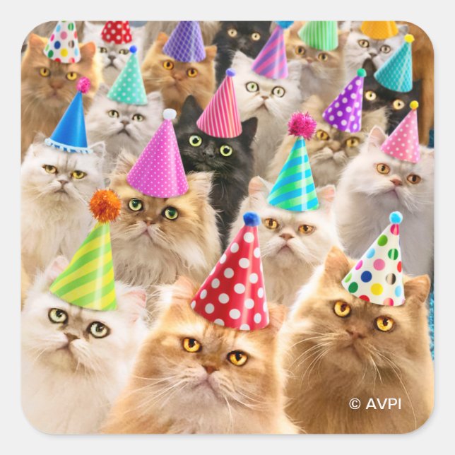Cat Party Square Sticker (Front)