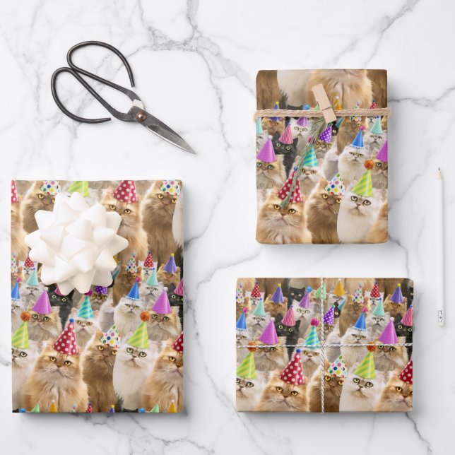 Cat Party Wrapping Paper Sheet (Front)