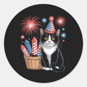 Cat Patriotic America Cats Usa Flag Fireworks 4th Classic Round Sticker