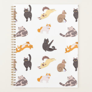 Cat pattern planner