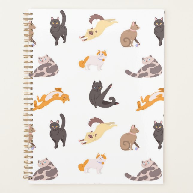 Cat pattern planner (Front)