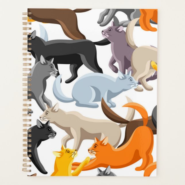 Cat pattern planner (Front)