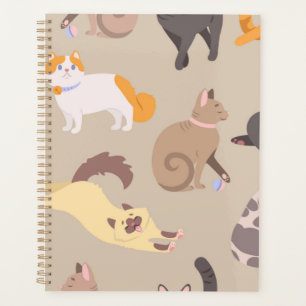Cat pattern planner