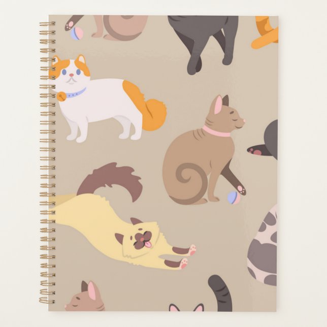 Cat pattern planner (Front)