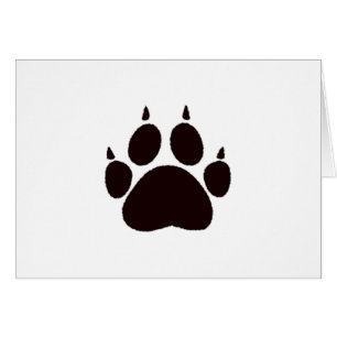 Cat Paw Prints