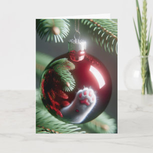 Cat Paw Reflection In Red Ornament Holiday Card