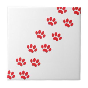 Cat Paws Feet Tile
