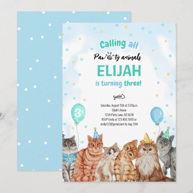 Cat Pawty Animals Boy Birthday Invitation (Front/Back)