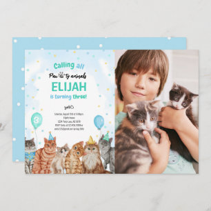 Cat Pawty Animals Boy Birthday Photo Invitation
