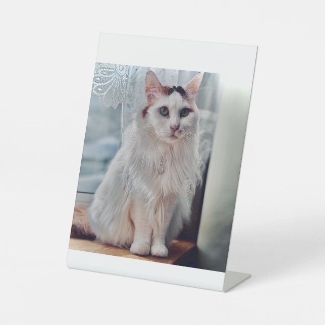 Cat Pedastal Pedestal Sign (Front)