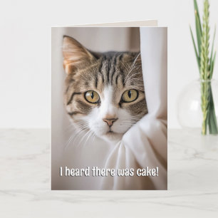 Cat Peeking Around Curtain Birthday Humour Card