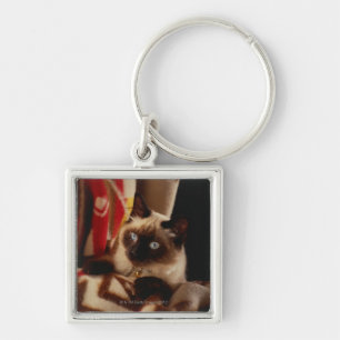 Cat peeking through quilt key ring