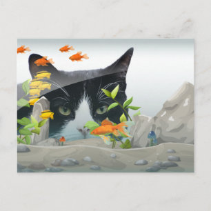 Cat Peering in Fish Tank Custom Photo Postcard