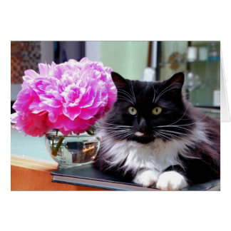 Cat & Peonies Card