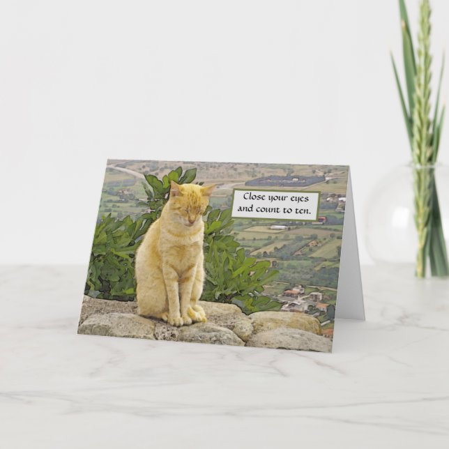 CAT PERCHED ON ROCK,  EYES CLOSED, HUMOR, FRIENDSH CARD (Front)