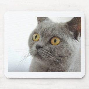 Cat Pet Animal Grumpy Frown Peace Love Destiny Mouse Mat