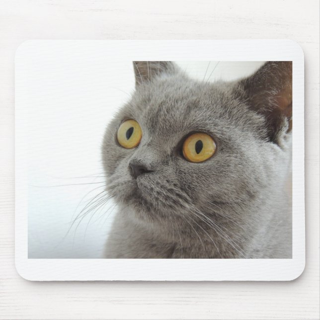 Cat Pet Animal Grumpy Frown Peace Love Destiny Mouse Mat (Front)