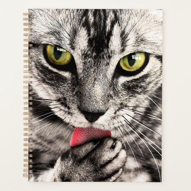 Cat Pet Animal Portrait-68667 Planner (Front)