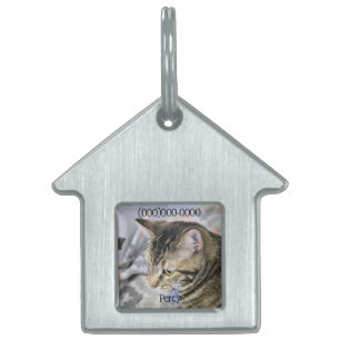 Cat Pet ID Tag