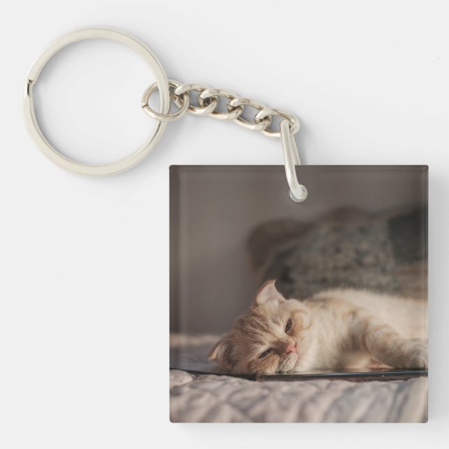 Cat, Pet, Kitten Key Ring (Front)