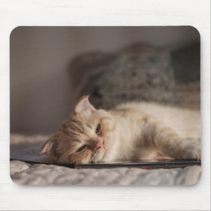 Cat, Pet, Kitten Mouse Mat