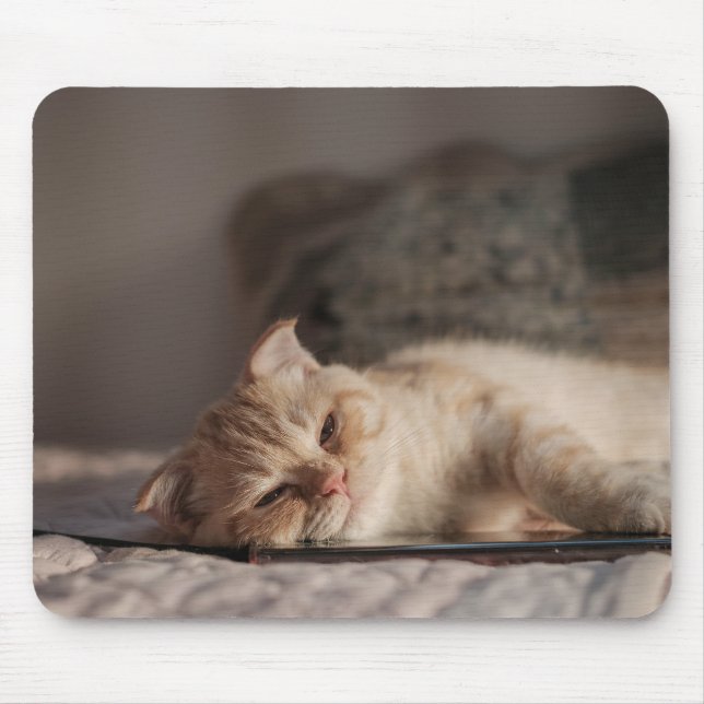 Cat, Pet, Kitten Mouse Mat (Front)
