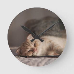 Cat, Pet, Kitten Round Clock