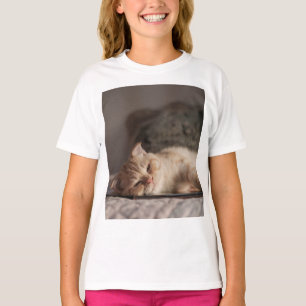Cat, Pet, Kitten T-Shirt