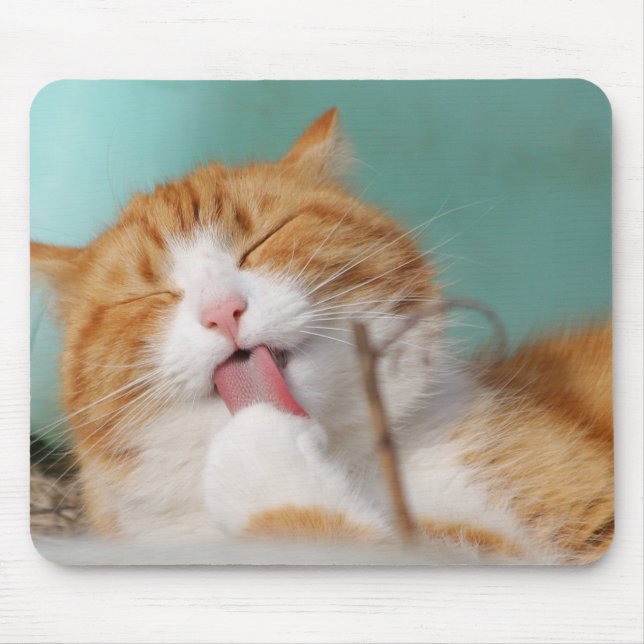 cat, pet, lick,animal  mouse mat (Front)
