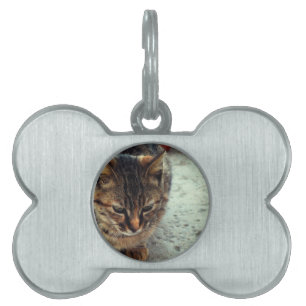 cat pet name tag