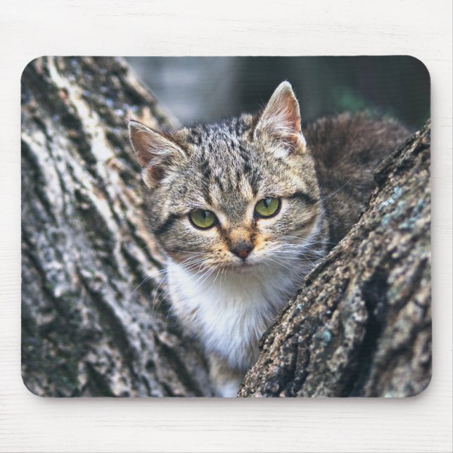 cat, pet, nature mouse mat (Front)