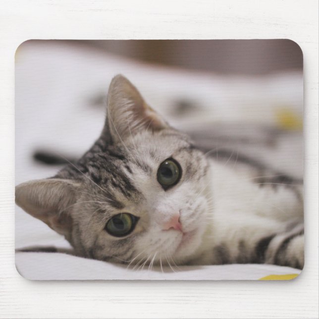 Cat, Pet, Nature Mouse Mat (Front)