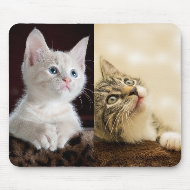 Cat Pet Photo Personalised Mouse Mat (Front)