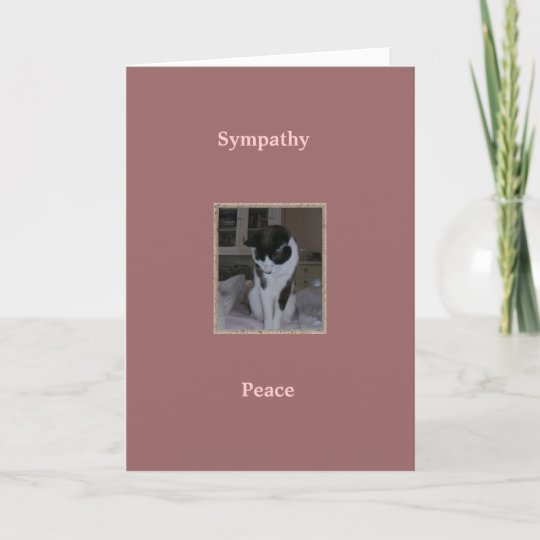 Pet Dog Cat Sympathy Card - Stars in Heaven | Zazzle.co.uk