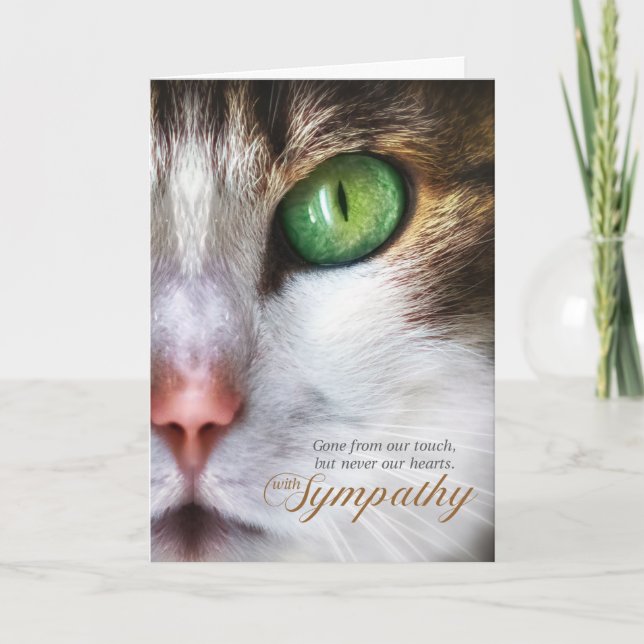 Cat Pet Sympathy Tabby Face Tender Message Card (Front)