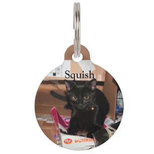 Cat Pet Tag