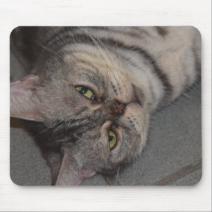 Cat、Pets、 Mouse Mat