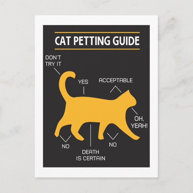 Cat Petting Guide Postcard (Front)