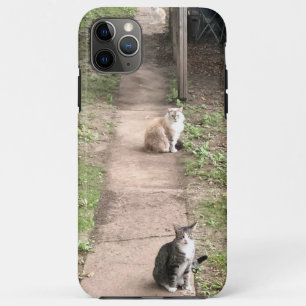 Cat Phone Case
