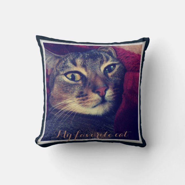 Cat photo, cat, Pets, funny cat Cushion (Front)