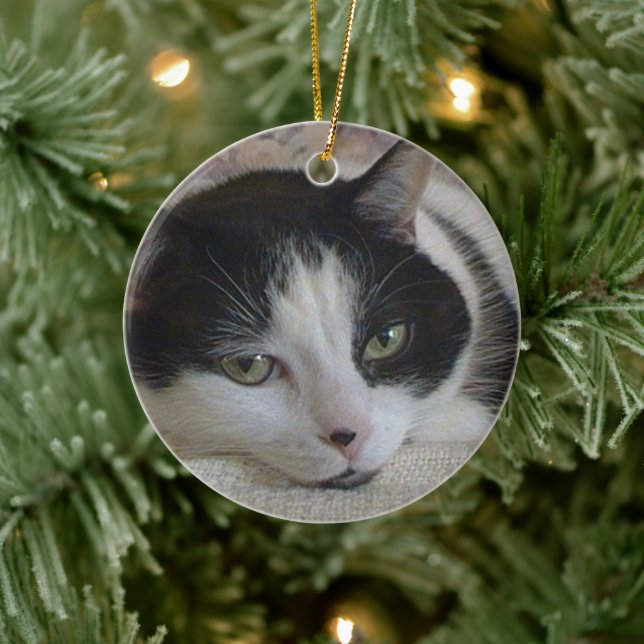 Cat Photo Christmas Ceramic Tree Decoration (Tree)