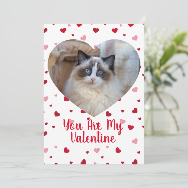 Cat Photo Custom Valentine's Day Card (Standing Front)